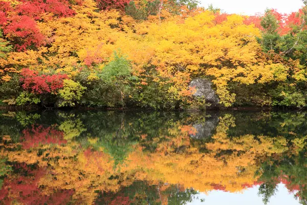 Πολύχρωμα Φθινοπωρινά Δέντρα Αντανακλώντας Στην Ήρεμη Λίμνη Νερό — Φωτογραφία Αρχείου