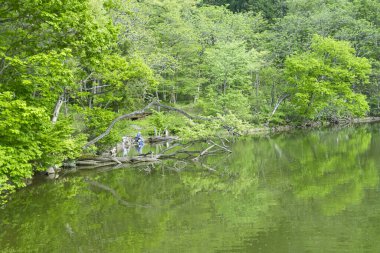 Parktaki adam ve kadın.