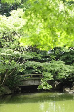Yazın köprüsü, göleti ve yeşil ağaçları olan güzel Japon bahçesi.          