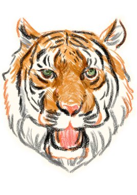  Beyaz arka planda el çizimi kaplan resmi 