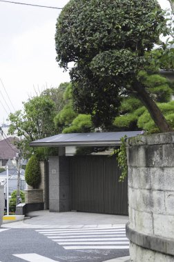 Geleneksel Japon evinin girişini çevreleyen budanmış ağaçlar.