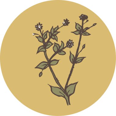 Çiçekler ve yapraklar logo tasarımı, doğa bitkisi botanik süsü 