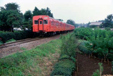 Kırsal alanda yeşil tarlaların yanından geçen kırmızı yolcu treni.