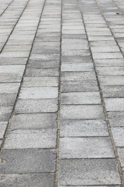 Şehir geçidi düzgün düzenlenmiş taşlarla döşenmiş..