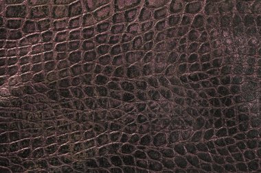  Deri dokusu arka plan, doğal malzeme 