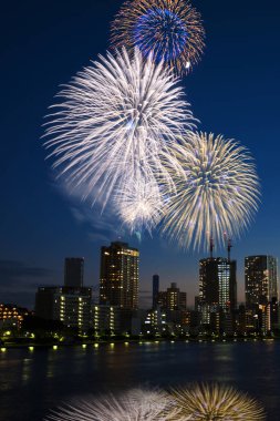 Karanlık gökyüzünde güzel havai fişekler 