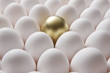 Beyaz yumurta ve altın yumurta arka planda, yakın plan.