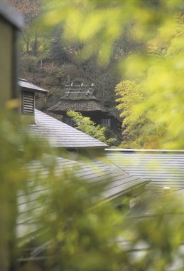  Japon kasabasındaki mavi çatıların manzarası