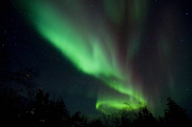 Güzel Aurora Borealis Gece gökyüzünde            