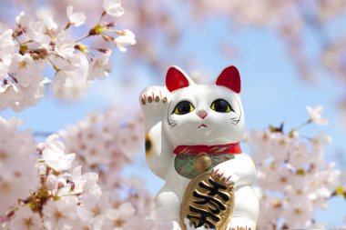 Maneki neko and Cherry Blossoms clipart