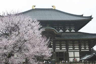 Güzel antik Japon tapınağının manzaralı görüntüsü.