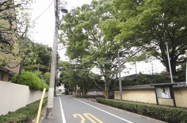 Yeşil ağaçlar ve sarı hız işaretleriyle kaplı sessiz bir yerleşim yeri.