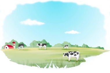 Yeşil çayır üzerinde siyah ve beyaz ineklerin çizimi