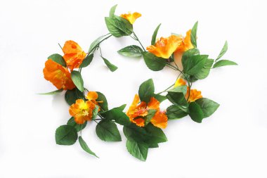 Güzel çiçekler, yakın görüş, doğa konsepti.