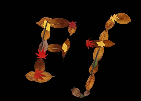 Алфавит Осенних Листьев Выделен Черном Фоне Буква — стоковое фото