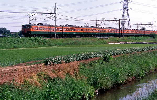 Japonya 'da demiryolu üzerinde hareket eden tren.