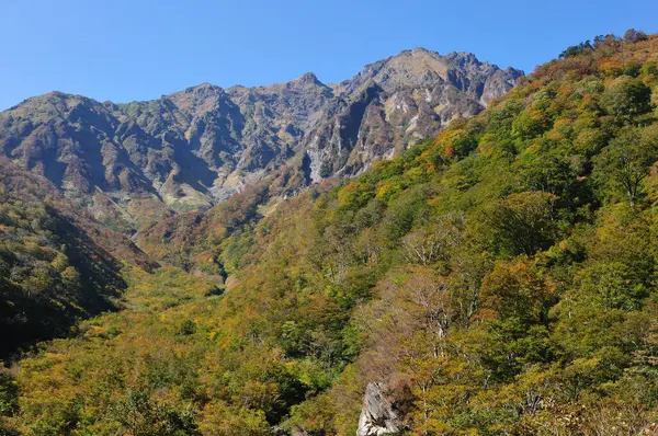 Sonbahar ormanlarının dağlardaki sonbahar manzarası. 