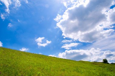 Yeşil Çimen ve Mavi Gökyüzü