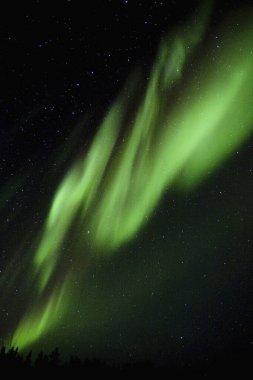 Gökyüzündeki Aurora Borealis 'in güzel gece manzarası               