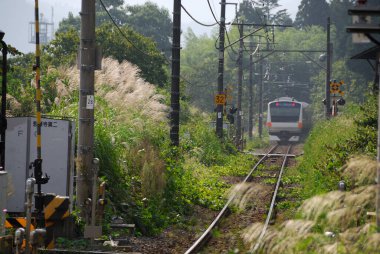 Demiryolu izi görüntüle