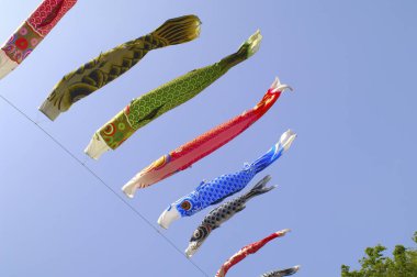 Japon koinobori ya da sazan balıklarının açık hava görüntüsü.                