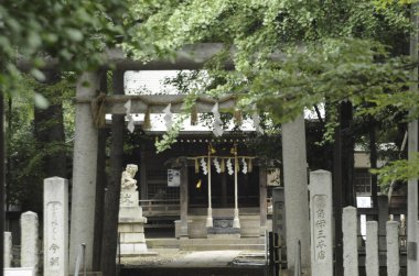 Japon şehrinin geleneksel tarihi mimarisi