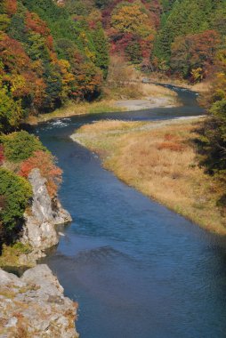 Ormanda sonbahar ve doğa arka planında nehir