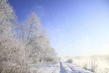 güneşli bir günde güzel kış manzarası