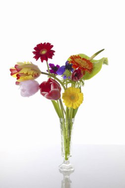 Beyaz arka plan üzerinde izole güzel bahar çiçekleri                        