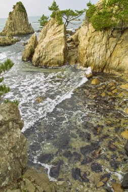 Deniz kıyısının güzel manzarası