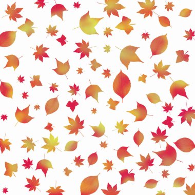 Beyaz arkaplanda parlak sonbahar yaprakları