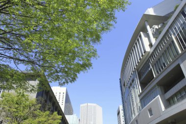 Yeşil yapraklı ağaçların alçak açılı görüntüsü ve kentsel şehirde uzun modern mimari     