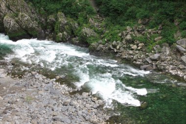 Ormanda güzel bir şelale