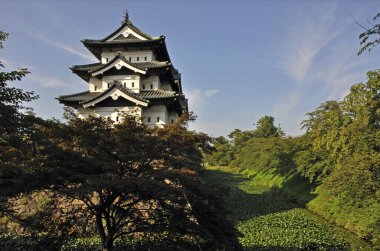 Gündüz vakti yeşil bahçeli geleneksel Japon tapınağı manzarası