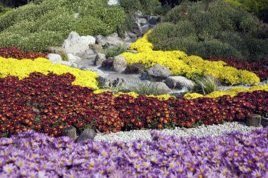 Güzel botanik bahçesi, doğal duvar kağıdı.