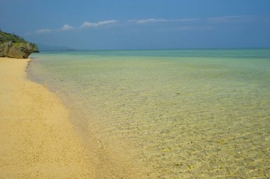 Güzel kumlu sahil ve sakin okyanus
