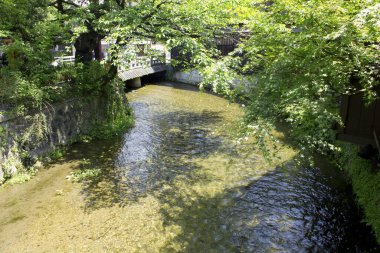 Güzel nehri ve köprüsü olan Japon bahçesi.