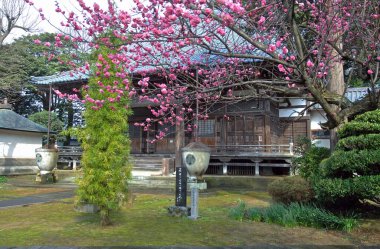 Güzel antik Japon tapınağının manzaralı görüntüsü.