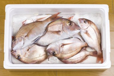 Beyaz arkaplanda çiğ balık izole edilmiş 