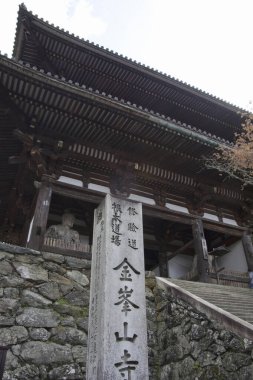 Japonya 'daki eski tapınağın güzel mimarisi.