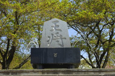 Heykelin hiyeroglifleri. Üzerinde Çin el yazısı hiyeroglifleri var.