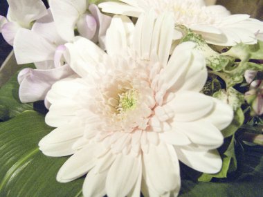 Bahçedeki güzel çiçekleri kapat.