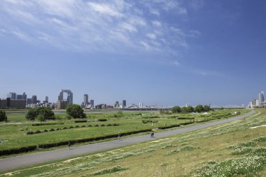 Osaka, Japonya 'da yeşil parktaki apartman binaları 