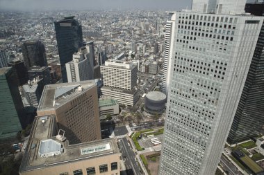 Tokyo, Japonya - 11 Haziran, 218: Tokyo şehrinin Tokyo bölgesinin tepesinden havadan görünüşü