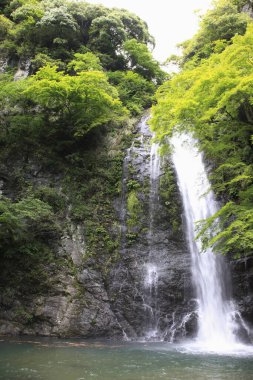 Mino Şelalesinin Bir Görüntüsü