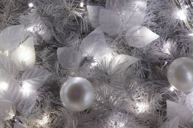 Bir Aydınlanma Resmi