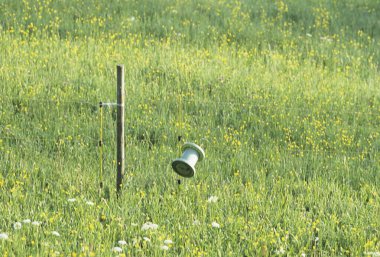 Kırsalda bir çiçek tarlası