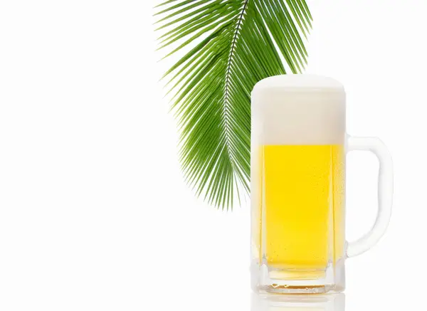 Bier Mit Palmblatt — Stockfoto