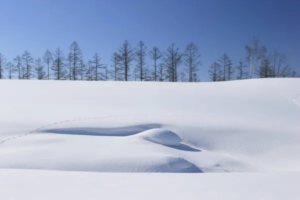 Vinterlandskap Snötäckta Träd Bergen — Stockfoto