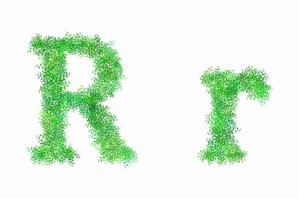 Bloemige Groene Alfabet Letters Witte Achtergrond Letter — Stockfoto
